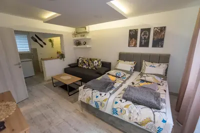 a bedroom with a bed and a couch at Tanis Apartments in Niš