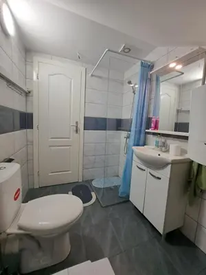 a bathroom with a toilet and a sink and a shower at Relja in Soko Banja