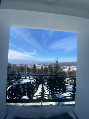 a window with a picture of a bear on a balcony at Apartman LED-Treska in Kopaonik