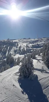 a snow covered slope with trees and the sun in the sky at Apartman LED-Treska in Kopaonik