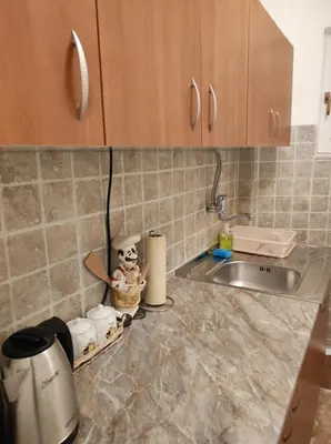a kitchen counter with a sink and a coffee maker at AVIS Apartment in Niš