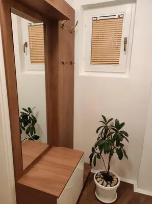 a bathroom with a mirror and a potted plant at AVIS Apartment in Niš