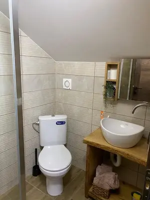a bathroom with a toilet and a sink at Rtanjska kućica in Boljevac