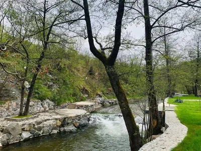 a river with a stone bridge in a park at Domus in natura in Cerovak