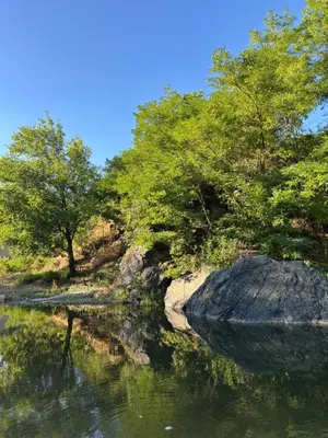 a river with trees and a rock in the water at Domus in natura in Cerovak