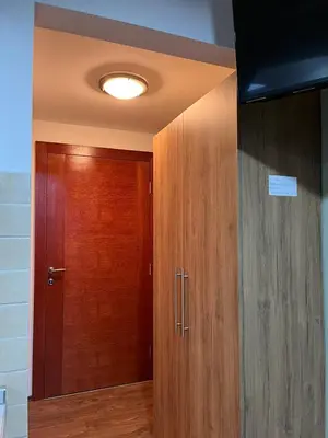 a room with a wooden door and a wooden wall at Apartman Studio AGAPE in Vrnjačka Banja