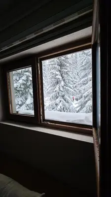a window with a view of a snow covered tree at Apartman 202 in Kopaonik
