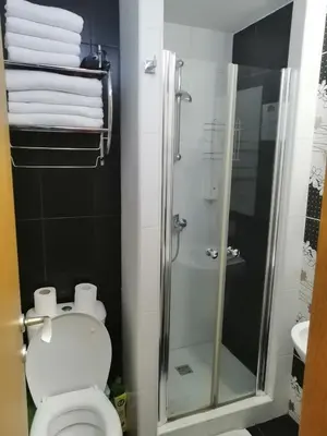 a bathroom with a shower and a toilet and towels at Tina Kop Apartments, Kopaonik in Kopaonik