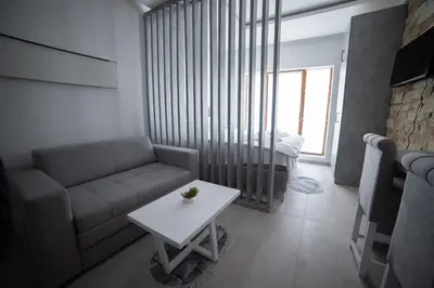 a living room with a couch and a table at NLux 11 Apartment in Kopaonik