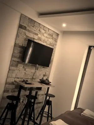 a room with a table and a tv on a brick wall at Nest studio Milmari Kopaonik in Kopaonik