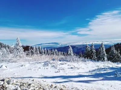 a snow covered field with trees and mountains in the background at Nest studio Milmari Kopaonik in Kopaonik