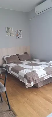 a bedroom with a large bed in a room at Apartman Katarina in Soko Banja