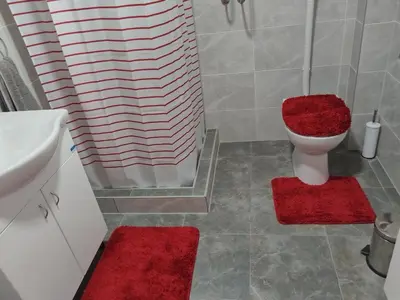 a bathroom with a toilet with a red rug at Stari Hrast 2 in Prolomska Banja