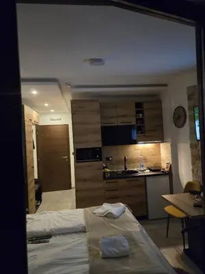 a room with a kitchen and a bed in a room at Kopaonik Milmari & Spa N Lux 90 in Kopaonik