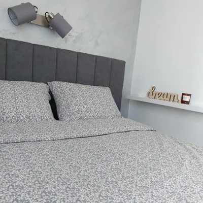 a bedroom with a bed with a gray head board at Apartman Krinka in Vrnjačka Banja