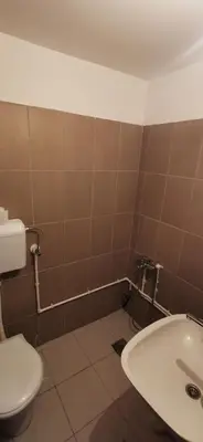 a bathroom with a toilet and a sink at Konak Šarac in Crni Vrh
