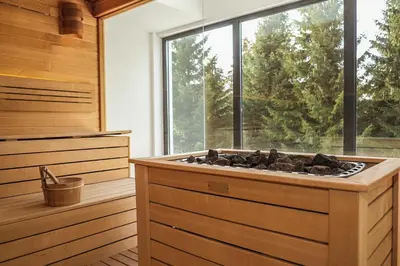 Gallery image of Popović apartmani, Sunčani breg in Kopaonik