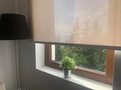 a window with a potted plant sitting on a window sill at Sunčani Breg Resort&Spa Kopaonik, Apartman broj 409 in Kopaonik