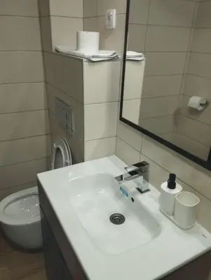 a bathroom with a sink and a mirror and a toilet at Sunčana Planina Kopaonik in Kopaonik