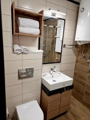 a bathroom with a sink and a toilet and a mirror at Sunčana Planina Kopaonik in Kopaonik