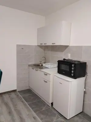 a small kitchen with a sink and a microwave at Stari Hrast 1 in Prolomska Banja