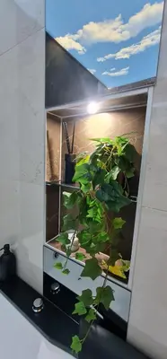 a plant in an aquarium in a room at Design Apartment PLATINIUM SPA LUX 5 STAR 