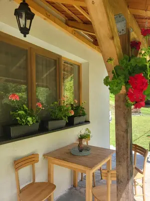 a table and chairs on a porch with potted plants at Antić apartmani Stara planina in Crni Vrh