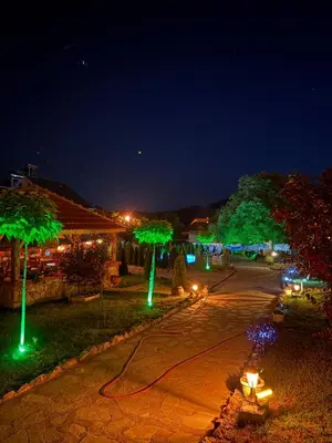 a garden lit up at night with green lights at MERAK STD in Vranje