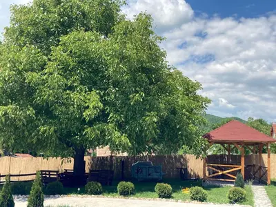 a tree and a gazebo in a yard at MERAK STD in Vranje