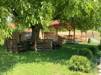 a tree and a wooden fence under a tree at MERAK STD in Vranje