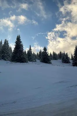 a field covered in snow with trees in the background at MONTANA apartment 21 in Kopaonik