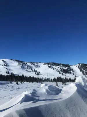 a snow covered hill with trees and a blue sky at MONTANA apartment 21 in Kopaonik