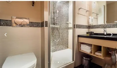 a bathroom with a shower and a toilet and a sink at Angella Kopaonik in Kopaonik