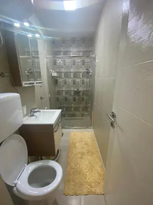 a bathroom with a shower and a toilet and a sink at Eleni in Vrnjačka Banja