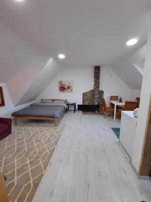 a large living room with a bed and a couch at Apartmani LEON Brzeće/Apartmens LEON Brzece in Brzeće
