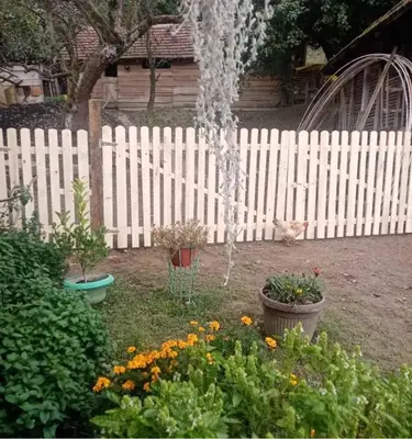 a cat sitting in a yard next to a white fence at Oko Jastrepca in Veliko Krušince