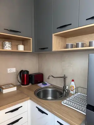 a kitchen with a stainless steel sink and cabinets at Apartman 3 - Vila Montana in Kopaonik