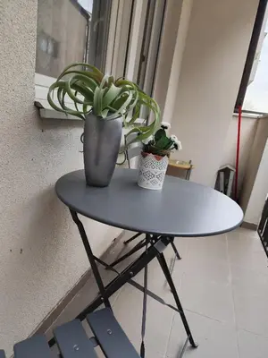 a table with a potted plant on top of it at Bili in Paraćin