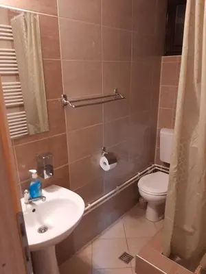a bathroom with a sink and a toilet at Vila Kula in Crni Vrh