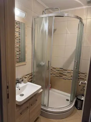 a bathroom with a shower and a sink at Vila Kopaonik Apartmani Milenkovic in Kopaonik