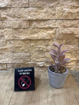 a sign next to a potted plant next to a wall at Vila Kopaonik Apartmani Milenkovic in Kopaonik