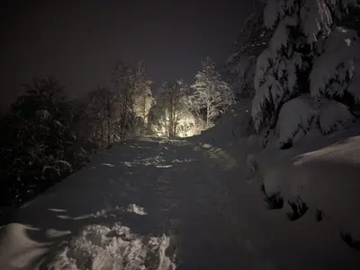 a snow covered road at night with snow covered trees at Kod Strica in Kopaonik