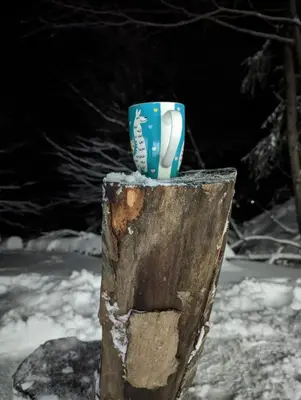 a blue cup sitting on top of a tree stump at Kod Strica in Kopaonik