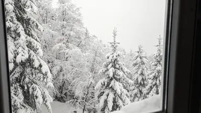a view of a snowy forest with snow covered trees at Kod Strica in Kopaonik