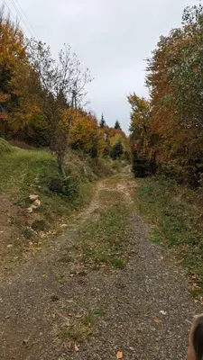a dirt road in the middle of a field at Kod Strica in Kopaonik