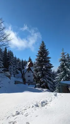 a house in the snow next to some trees at Kod Strica in Kopaonik
