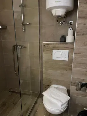 a bathroom with a toilet and a shower stall at Apartmani NLUX and SPA in Kopaonik