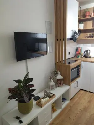 a kitchen with a tv on the wall and a plant at Apartman Element in Kruševac