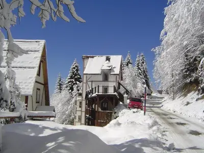 a house covered in snow next to a road at Studio Potocic in Kopaonik