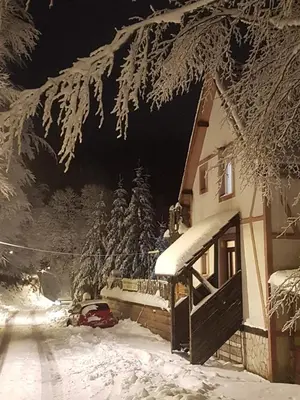 a house with snow on the branches of a tree at Studio Potocic in Kopaonik
